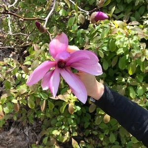 Meet your Posher, Priya